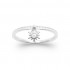 SILVER Ring 925 RHODIE Collection "Mon Soleil" SILVER Ring 925 RHODIE Collection "Mon Soleil"