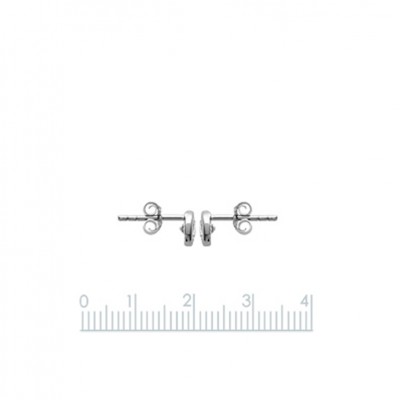 Silver Earrings  925 Rhodium plated Ø 4